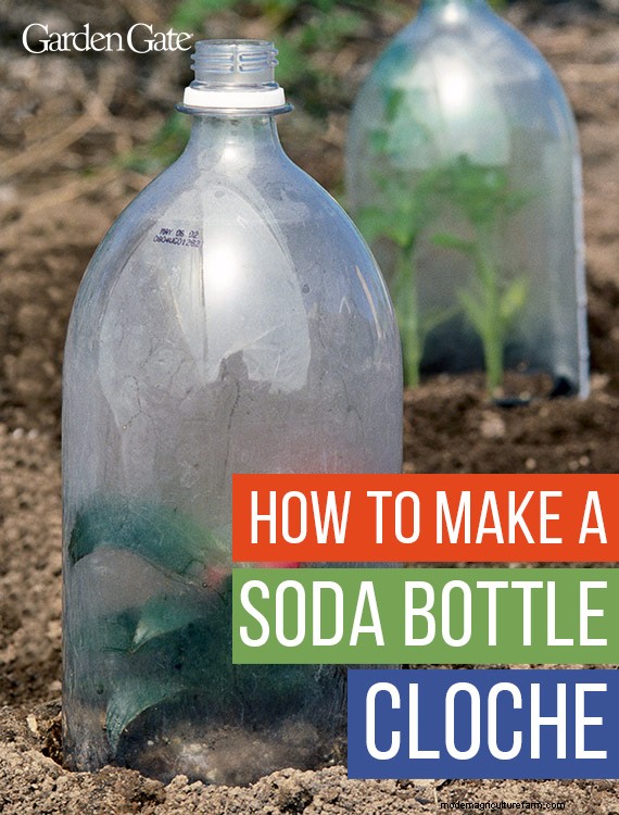 How to make a soda bottle cloche