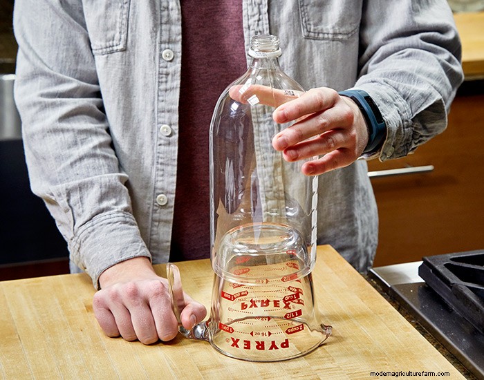 How to make a soda bottle cloche