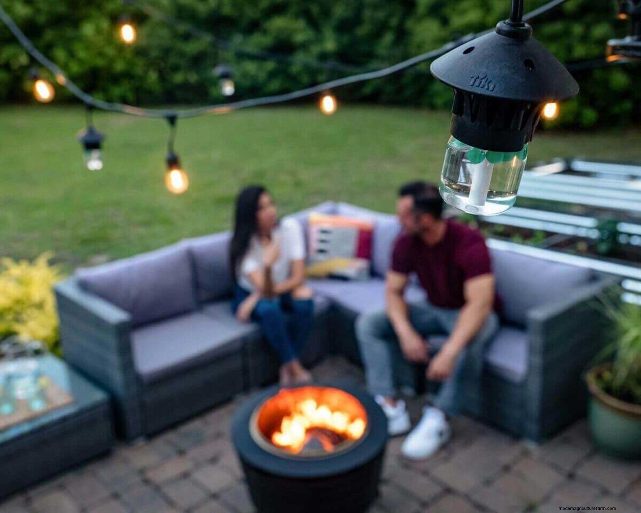 How to get rid of mosquitoes in your yard: 5 easy ways to deter these pests