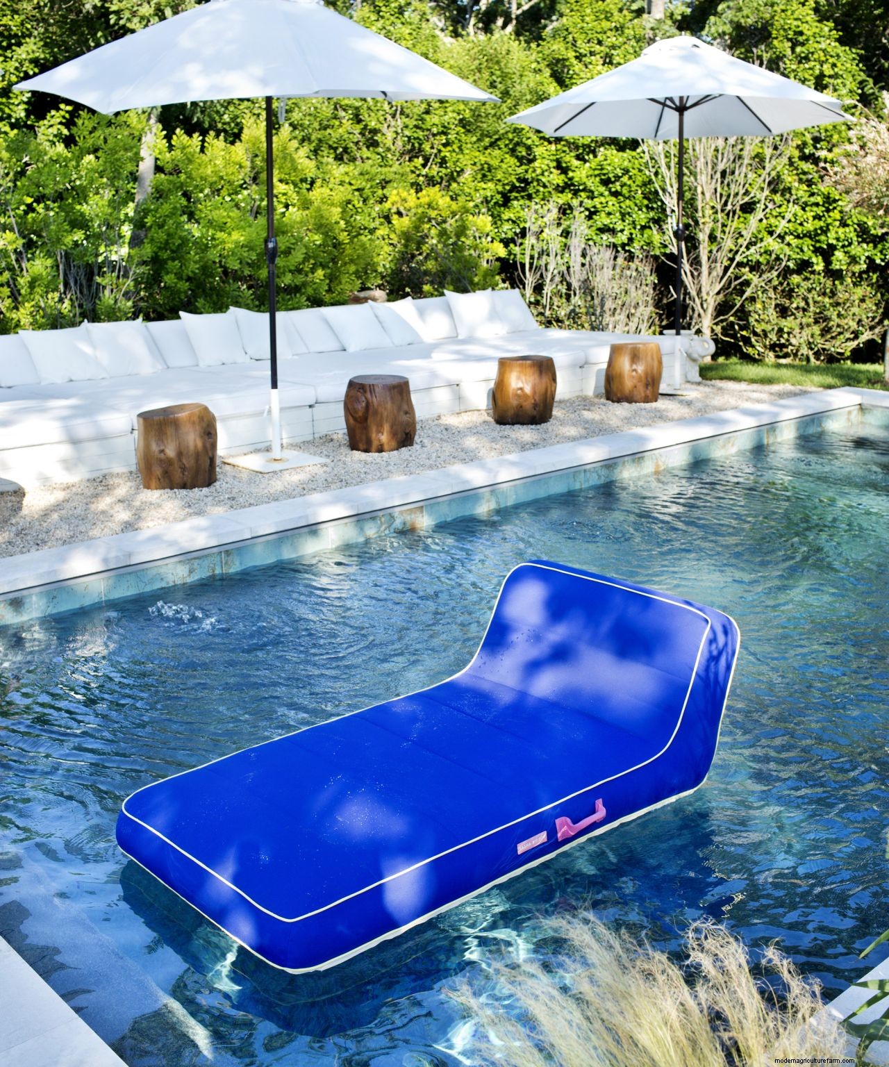 How to keep bees away from a pool: 7 simple solutions that work