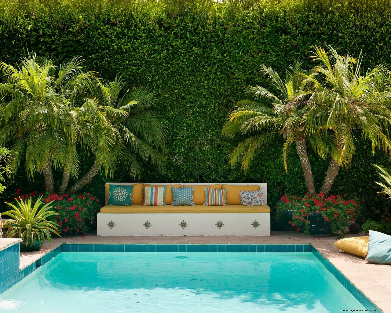 Mustard algae in a pool: what to look out for and how to get rid of it