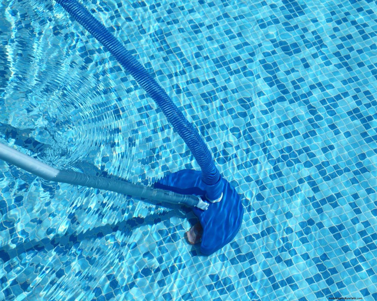 How to vacuum a pool: simple steps for cleaning success
