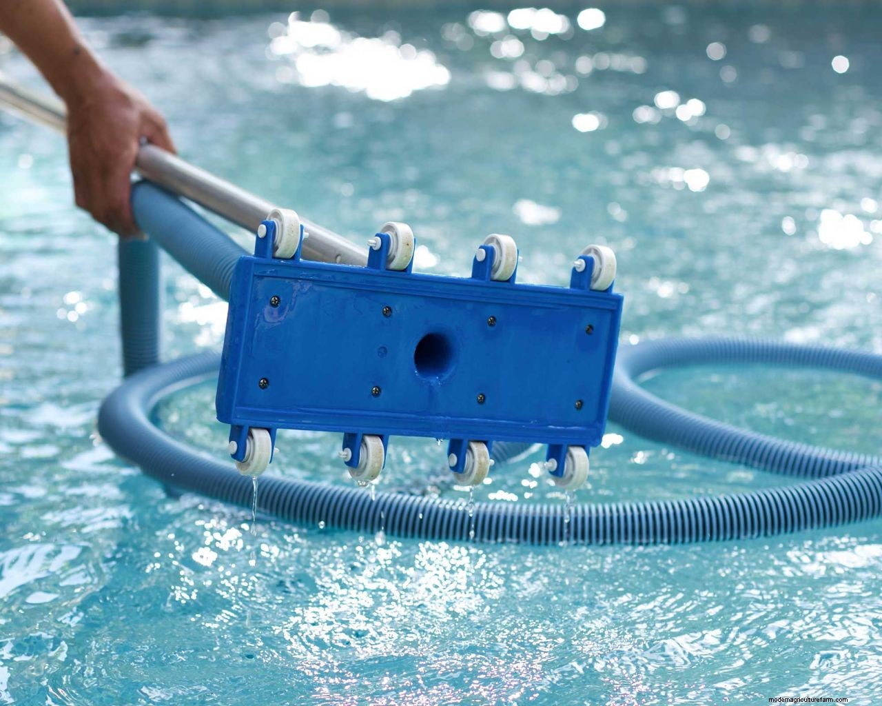 How to vacuum a pool: simple steps for cleaning success