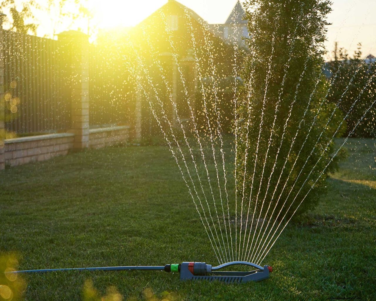How to grow grass in hot, dry weather: 6 top tips for a luscious lawn when its warm