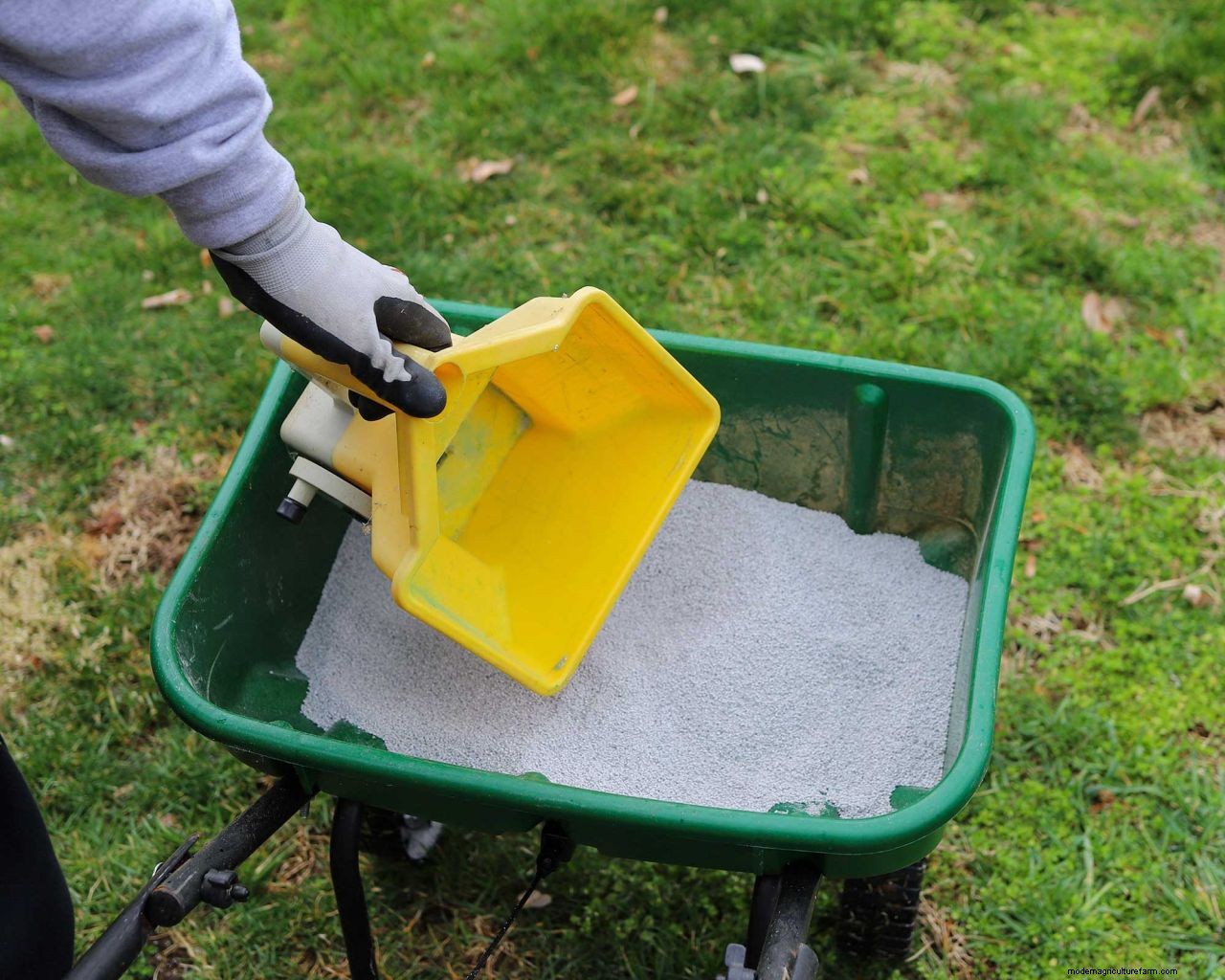 How to grow grass in hot, dry weather: 6 top tips for a luscious lawn when its warm