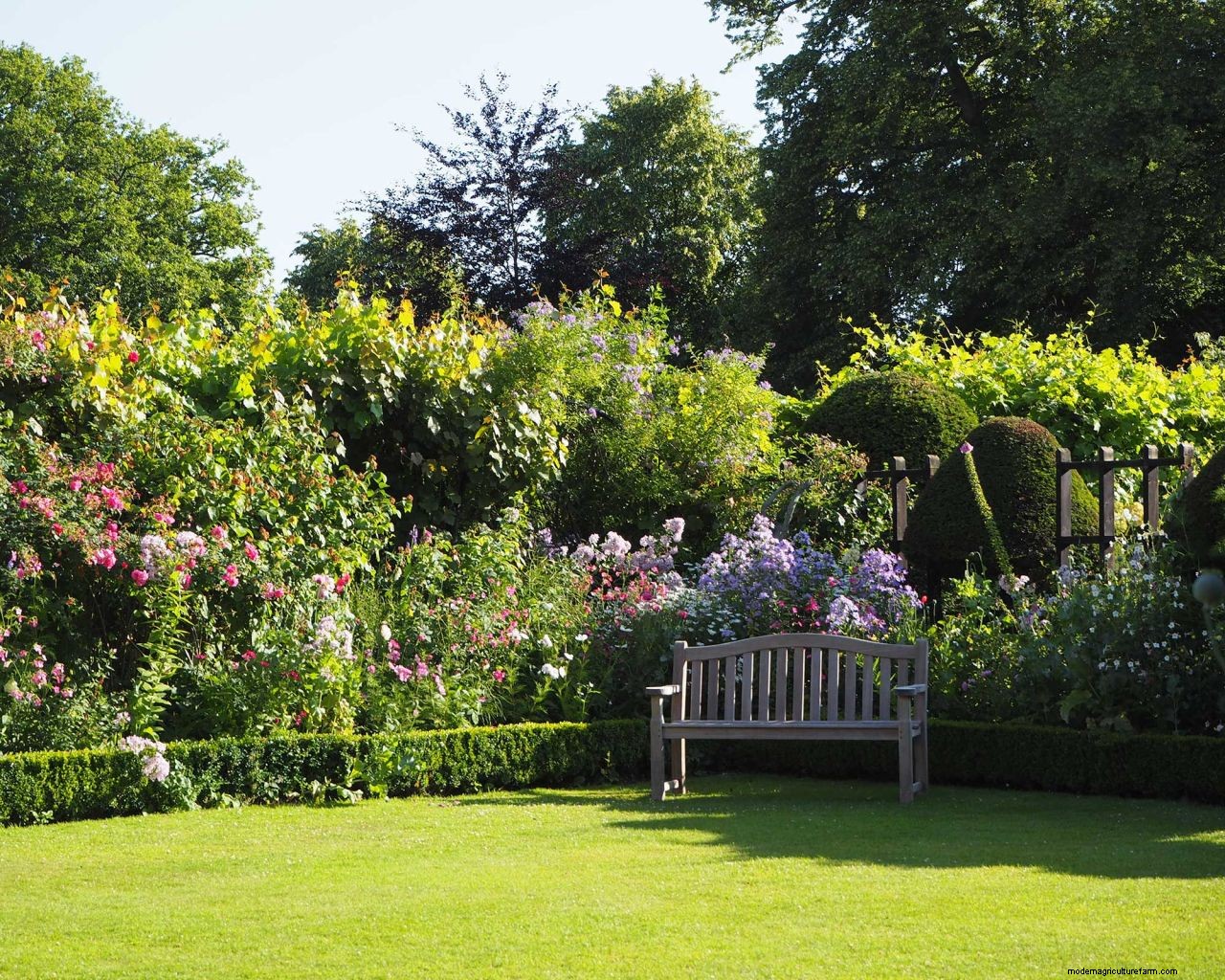 How to grow grass in hot, dry weather: 6 top tips for a luscious lawn when its warm