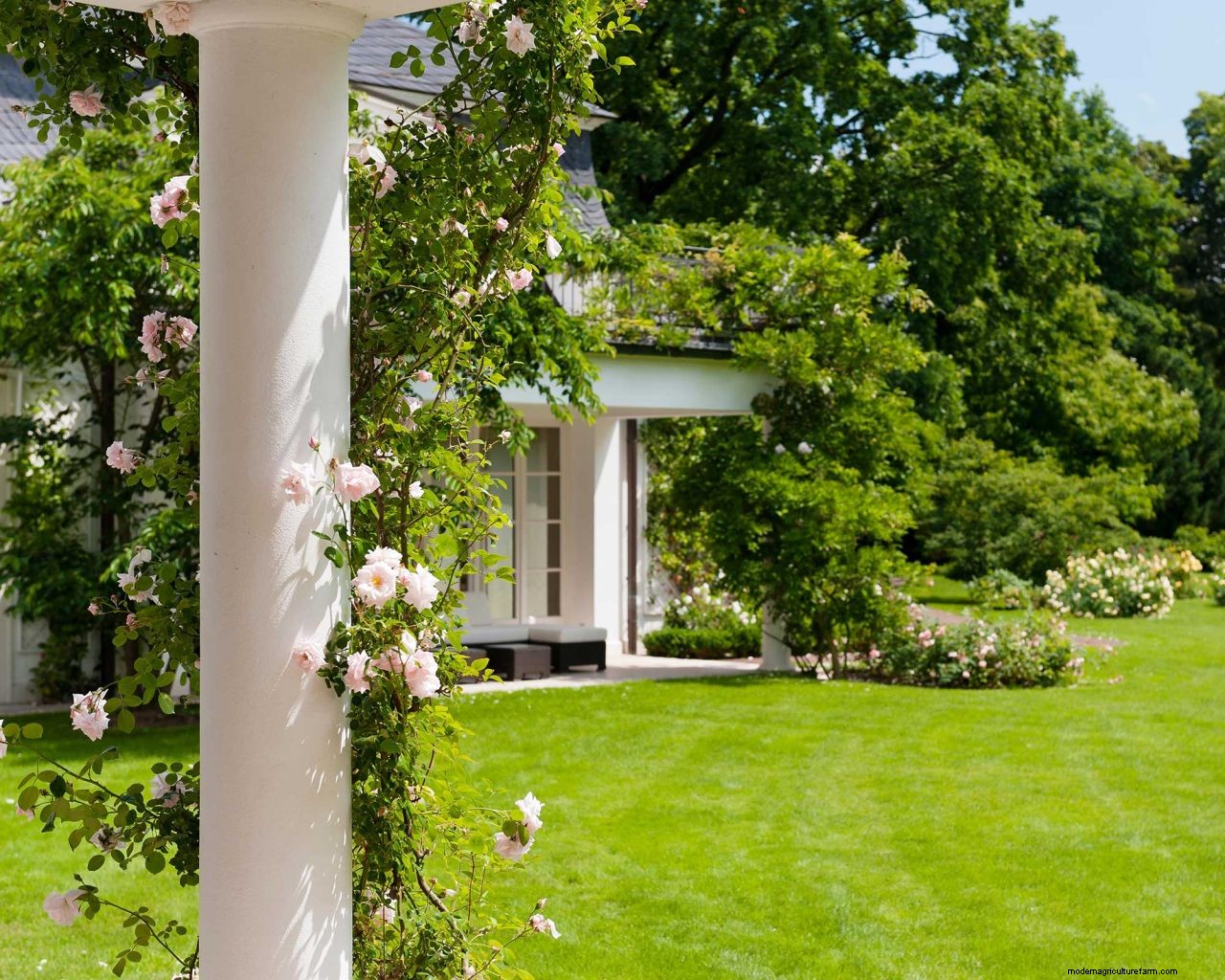 How to grow grass in hot, dry weather: 6 top tips for a luscious lawn when its warm