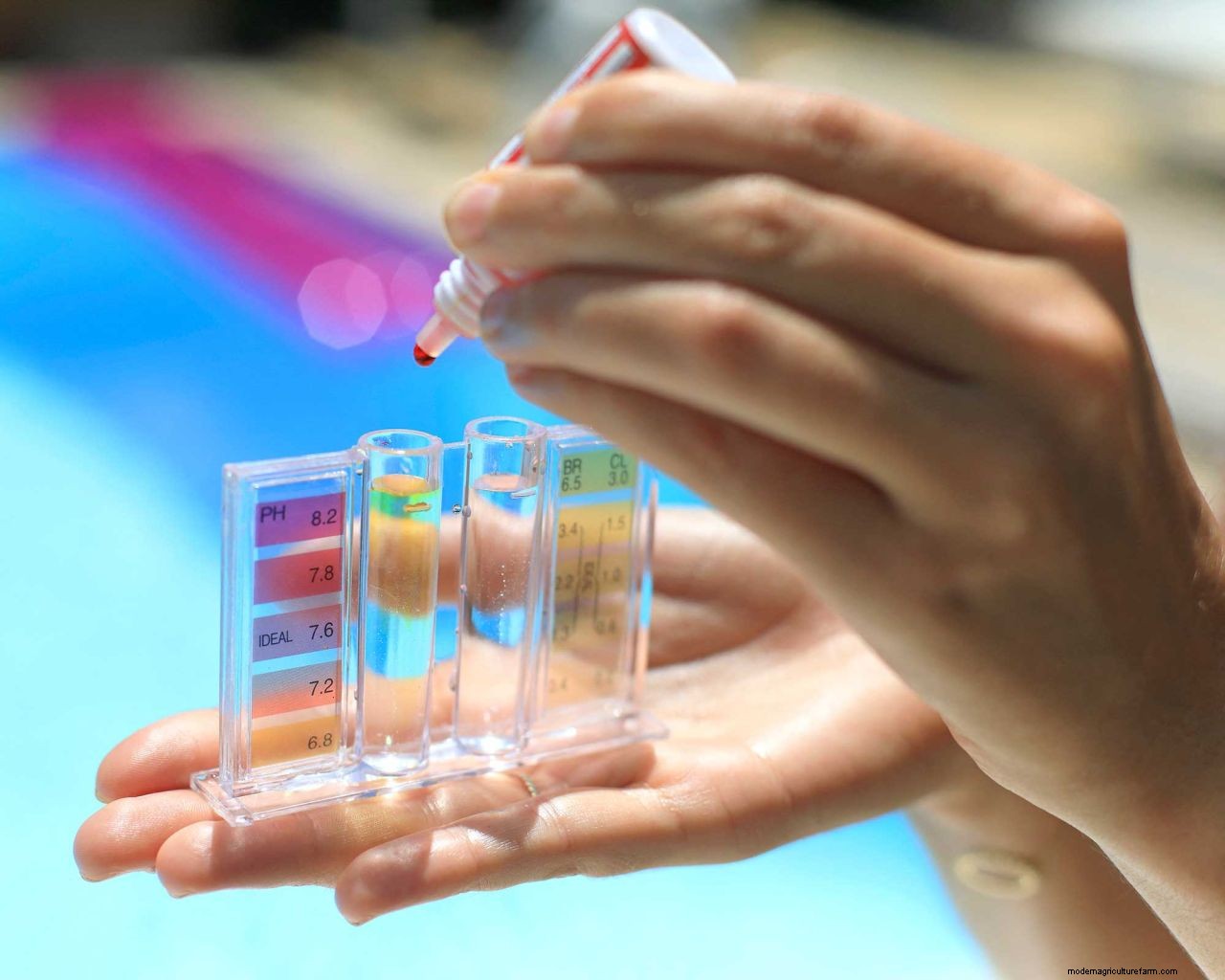 Cloudy pool water: tips to make your swimming pool crystal clear again