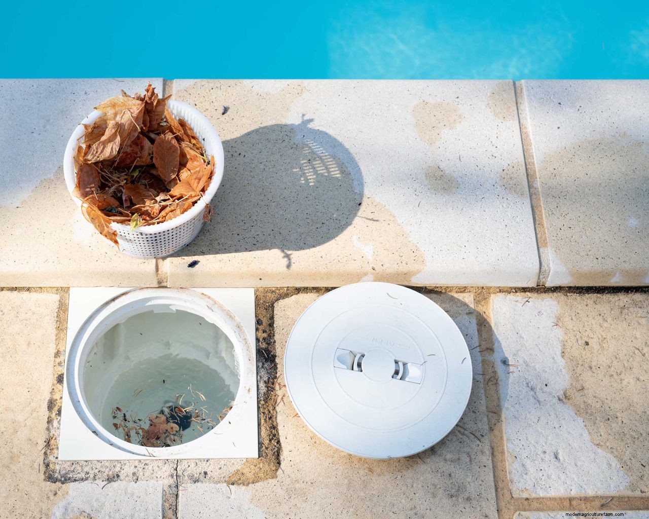 Cloudy pool water: tips to make your swimming pool crystal clear again