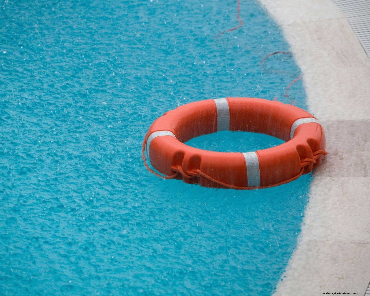 Cloudy pool water: tips to make your swimming pool crystal clear again