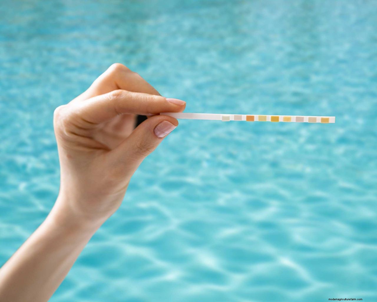 How to get rid of algae in a pool: tackle that unsightly green growth with these tips