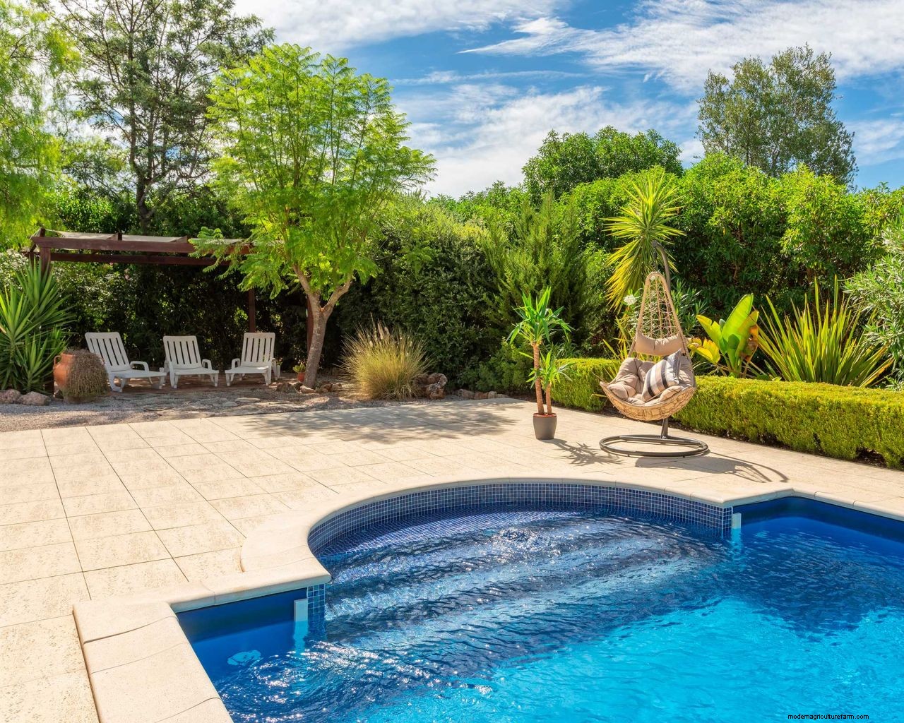 How to get rid of algae in a pool: tackle that unsightly green growth with these tips