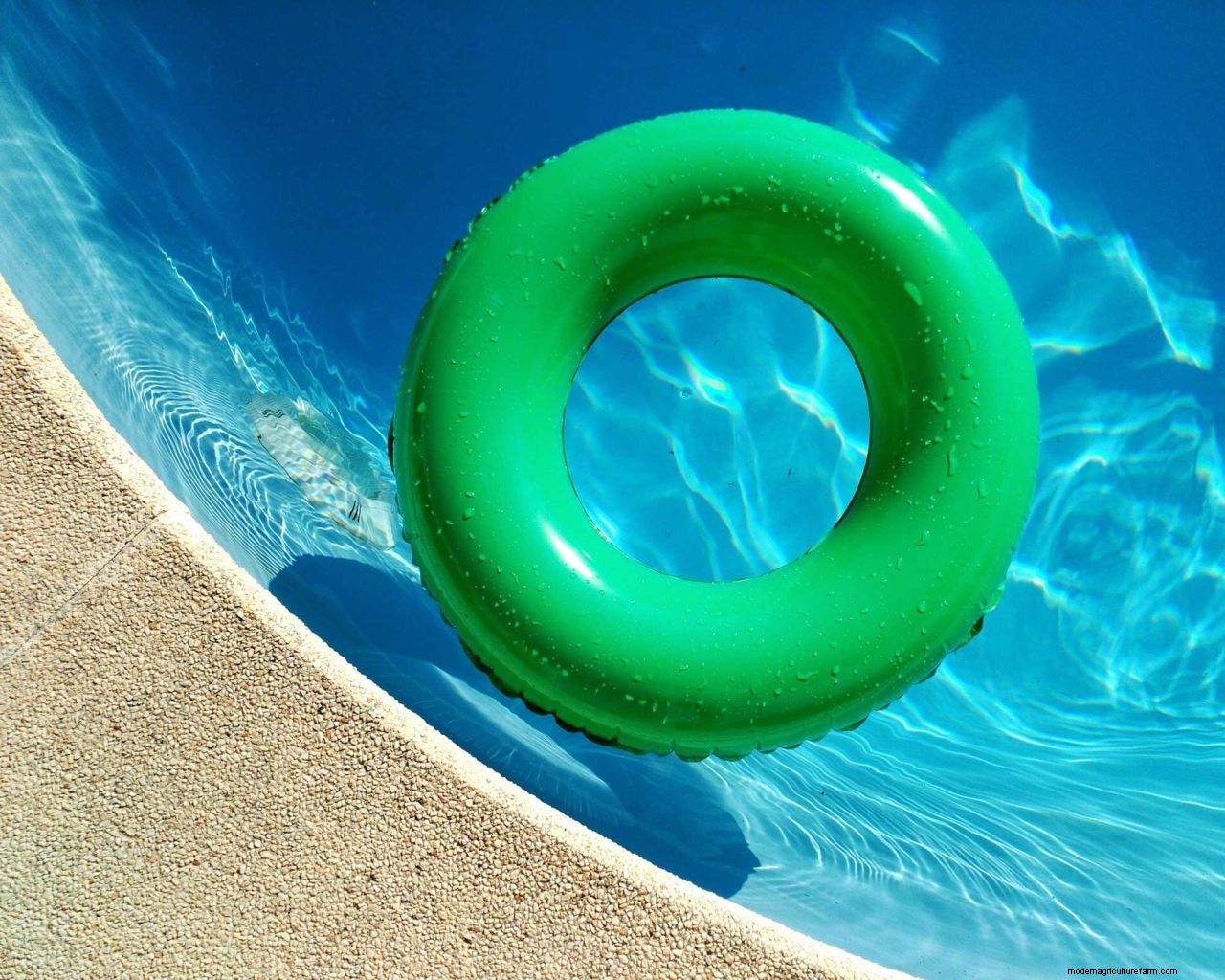 How to get rid of algae in a pool: tackle that unsightly green growth with these tips