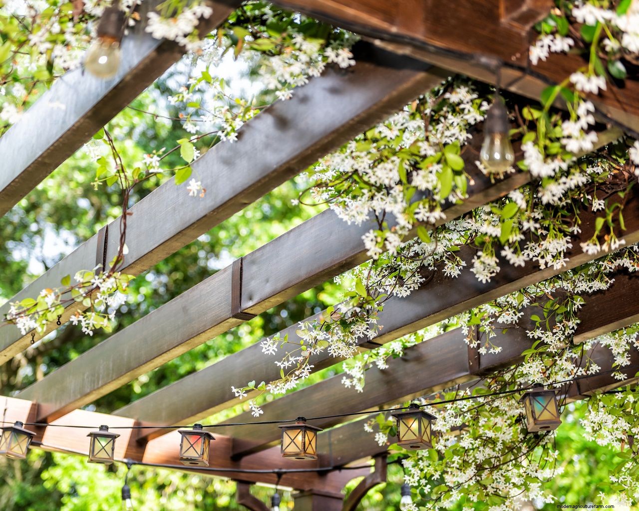 How to protect plants from heat: 7 clever ways to beat the hot weather