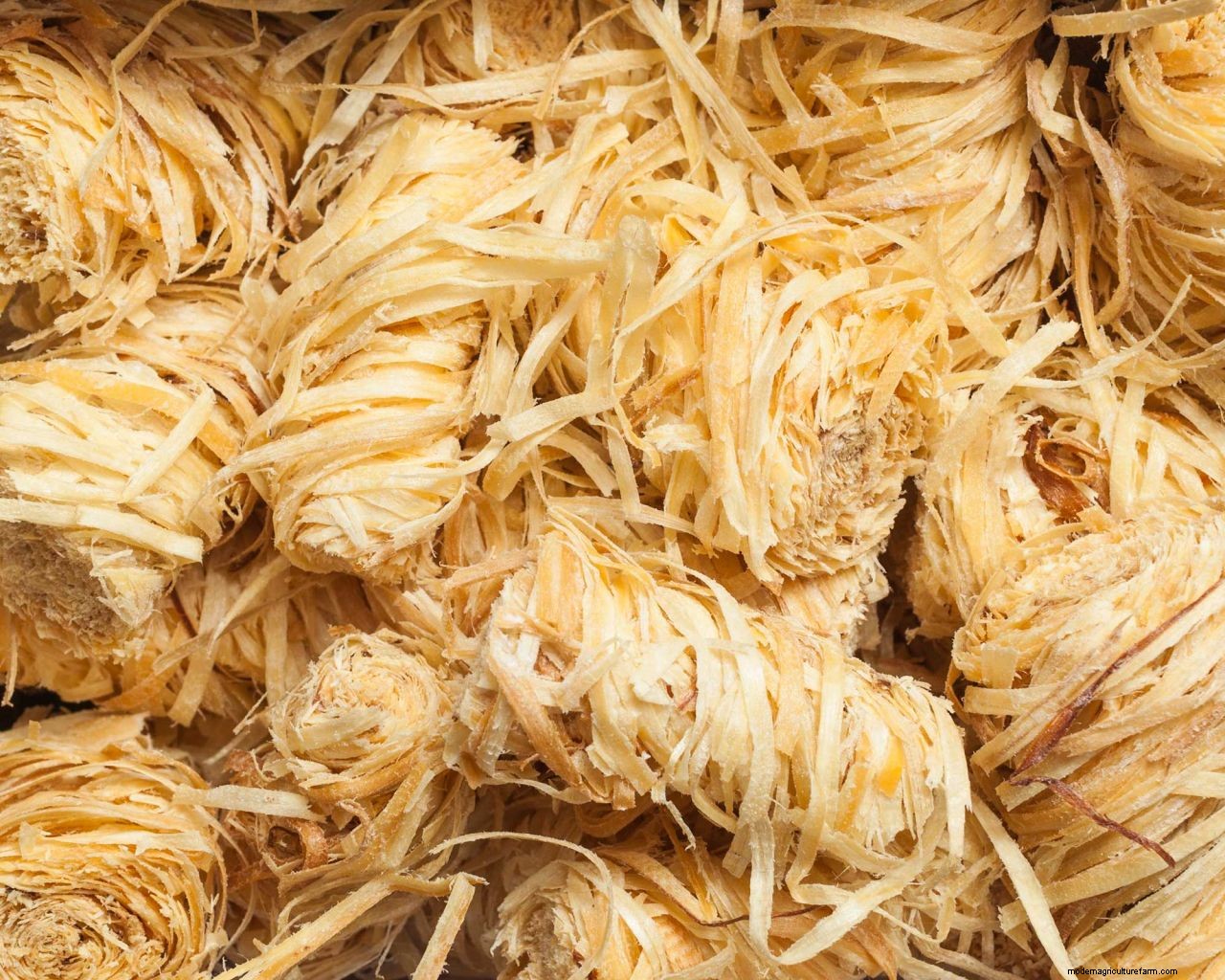 How to light a fire pit: get it right every time with these simple tips