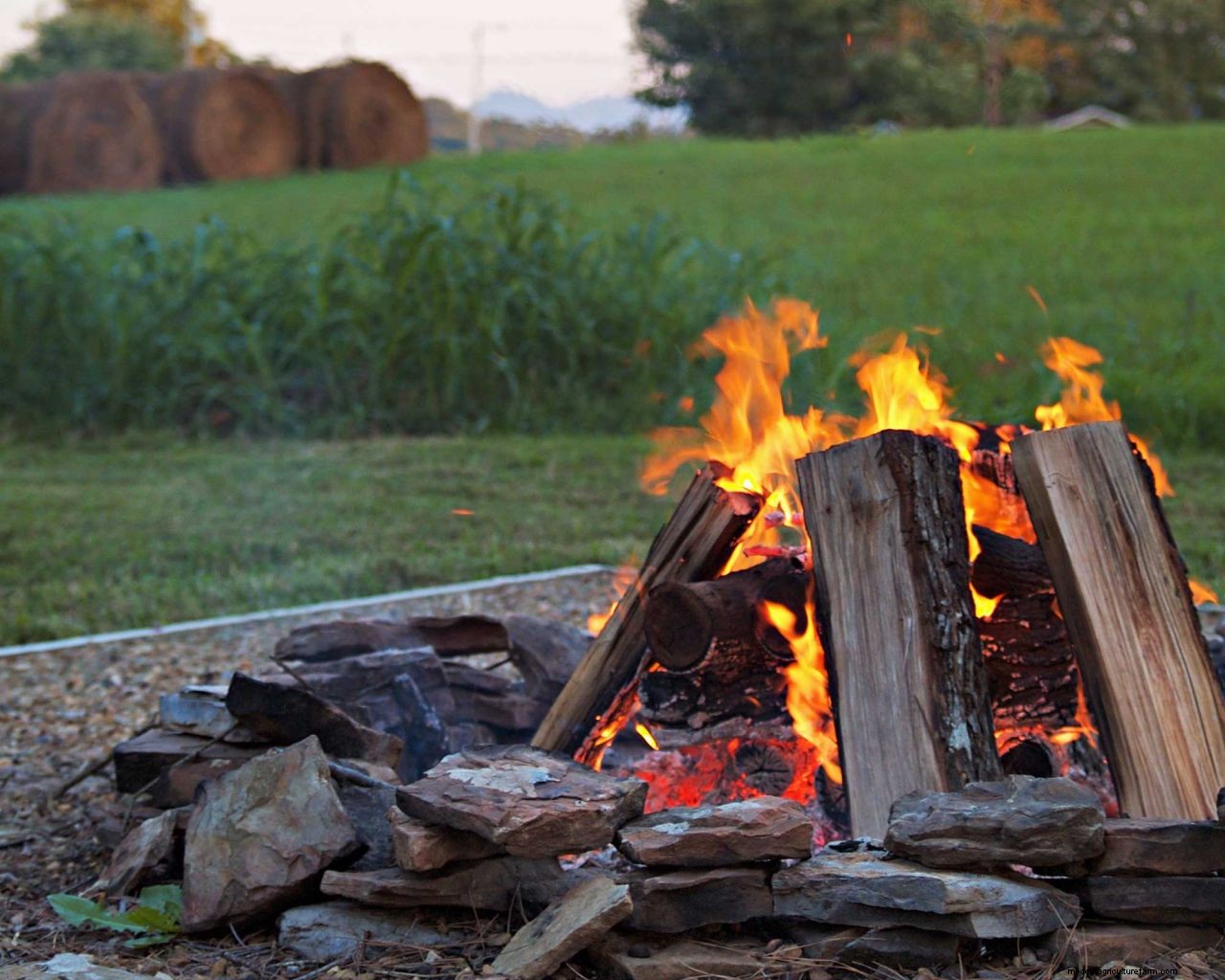 How to light a fire pit: get it right every time with these simple tips
