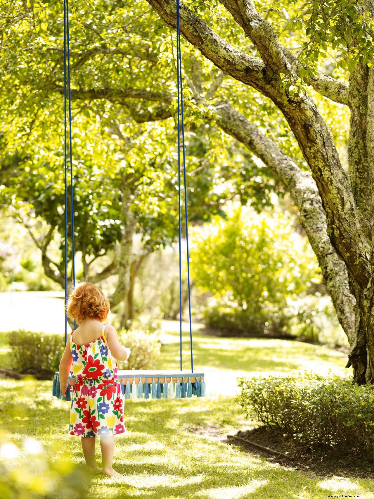 How to hang a tree swing: advice for safely securing a swing from a branch