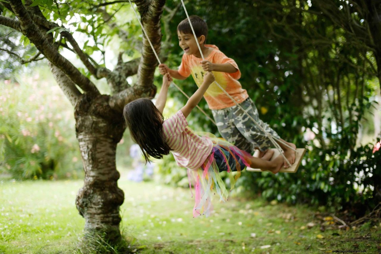 How to hang a tree swing: advice for safely securing a swing from a branch
