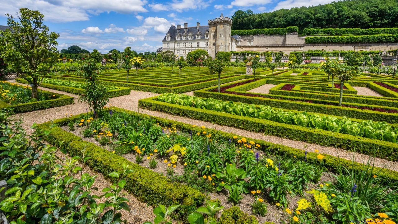 How to design a potager garden for vegetables and flowers