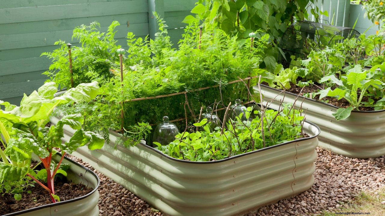 How to design a potager garden for vegetables and flowers