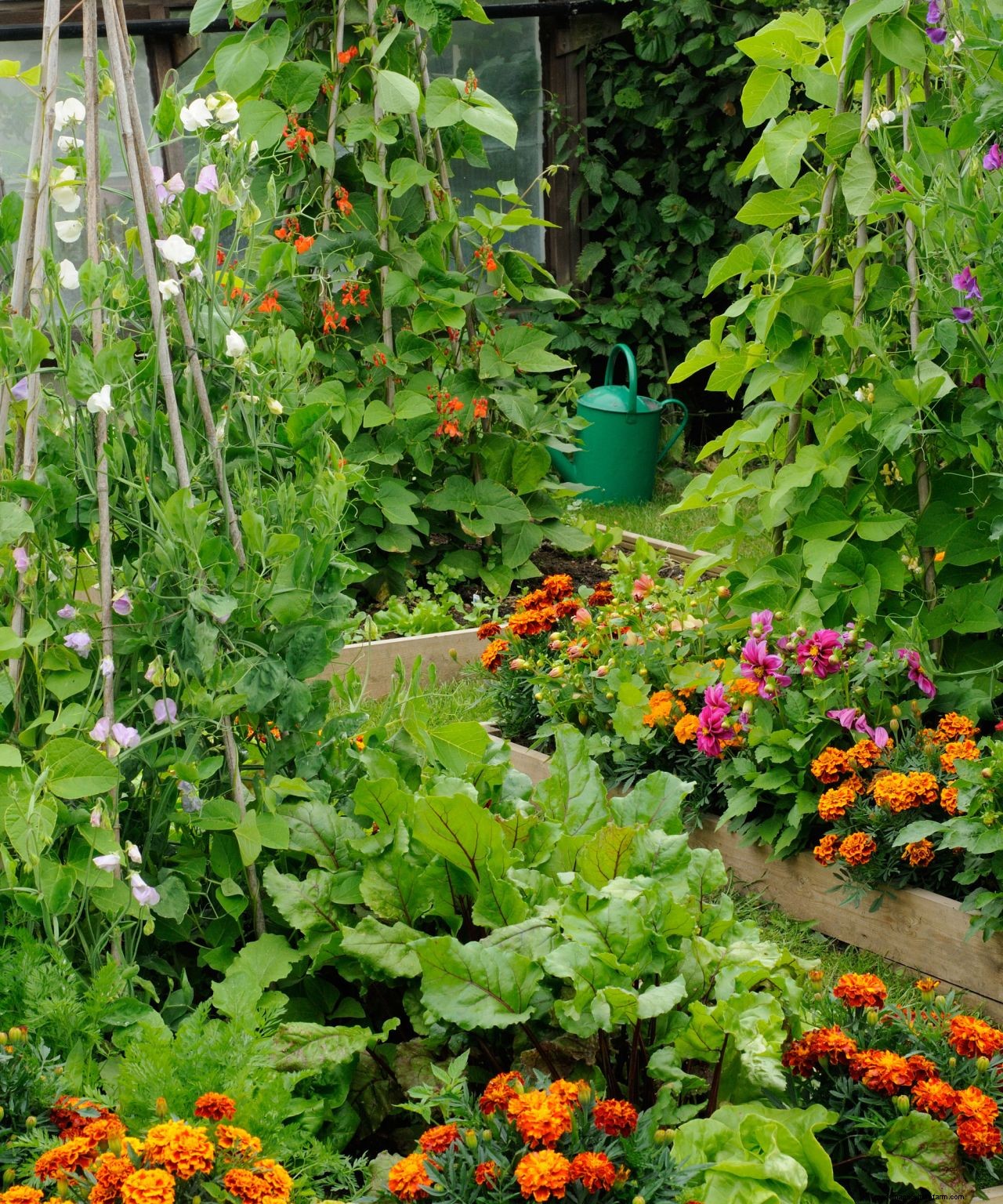 How to design a potager garden for vegetables and flowers