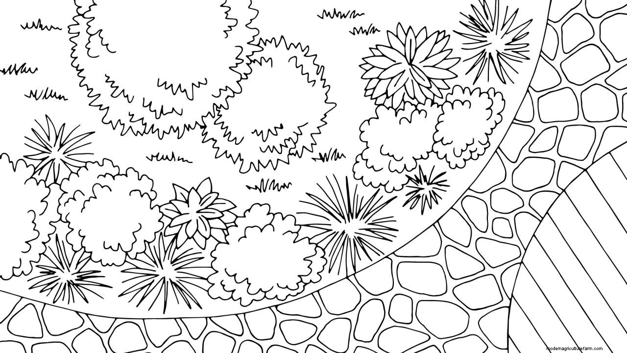 How to design a potager garden for vegetables and flowers