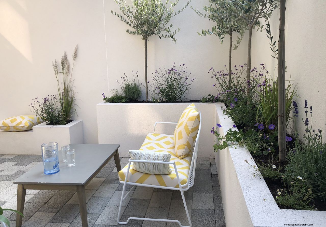 Small garden design tips from the experts: maximize your plots potential with plants, furniture, and more