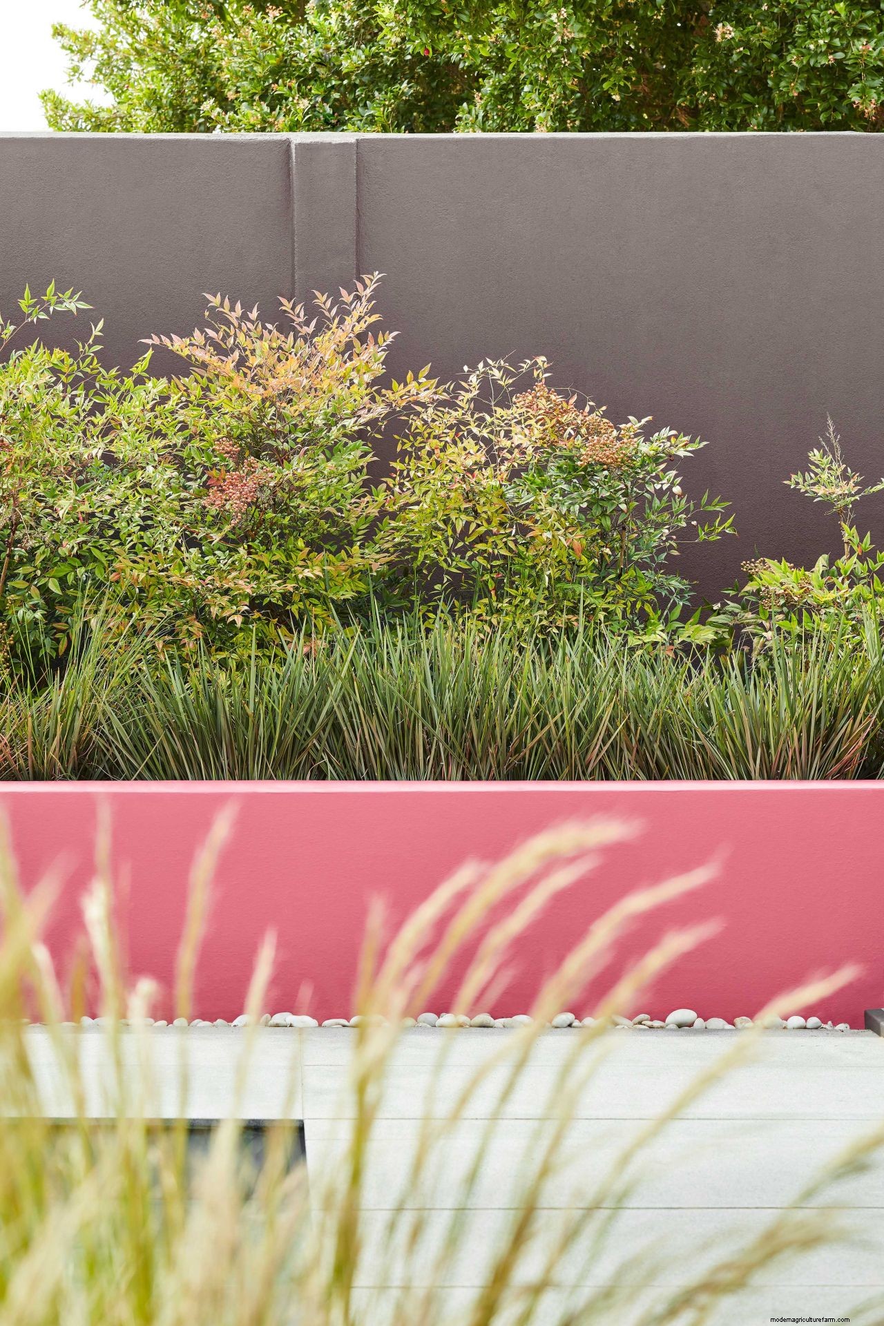 Small garden design tips from the experts: maximize your plots potential with plants, furniture, and more