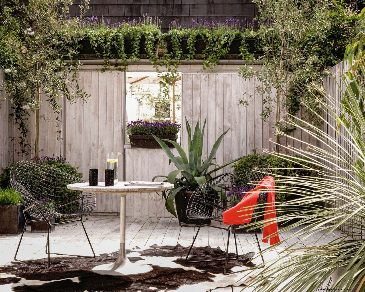 Paint your deck in minutes with this hack that is going viral on social media