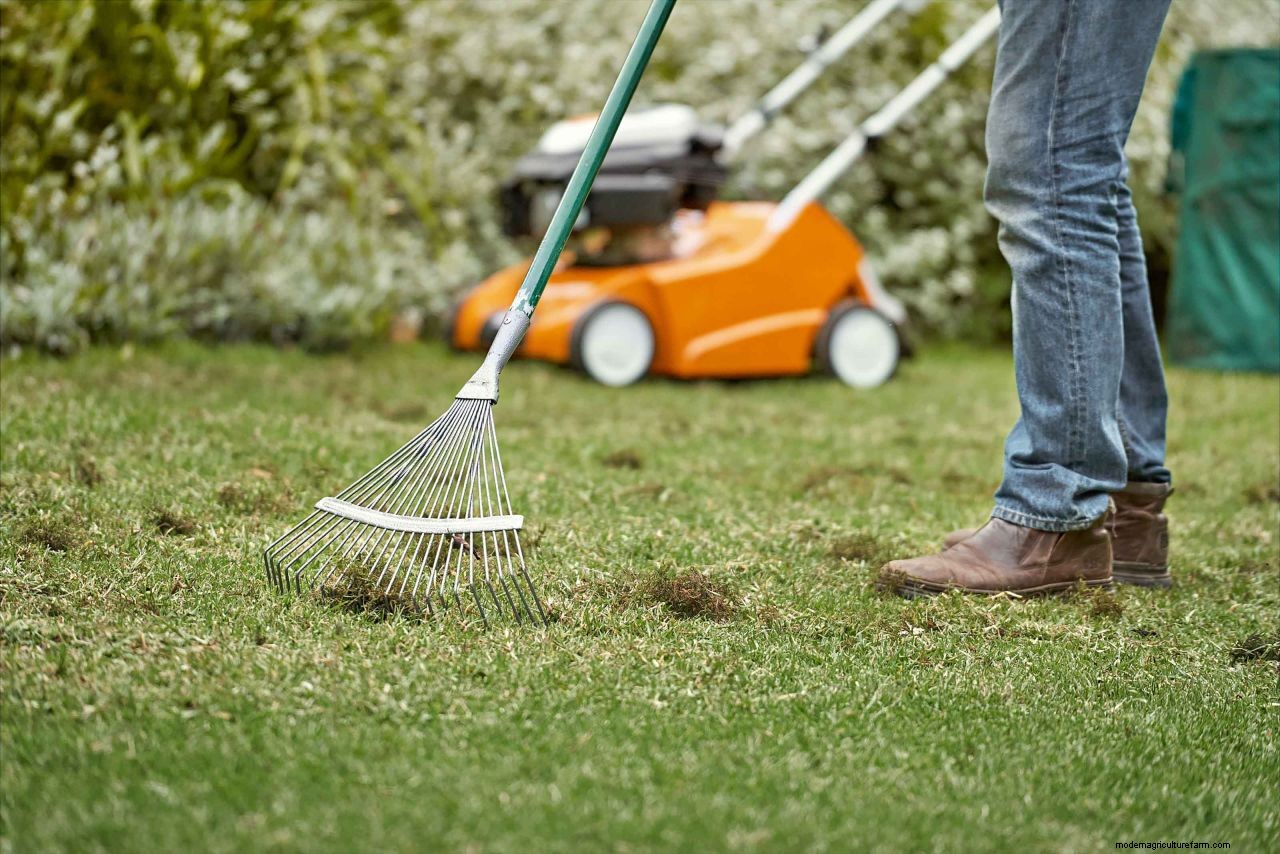 How to get rid of lawn weeds: revamp your turf without killing the grass