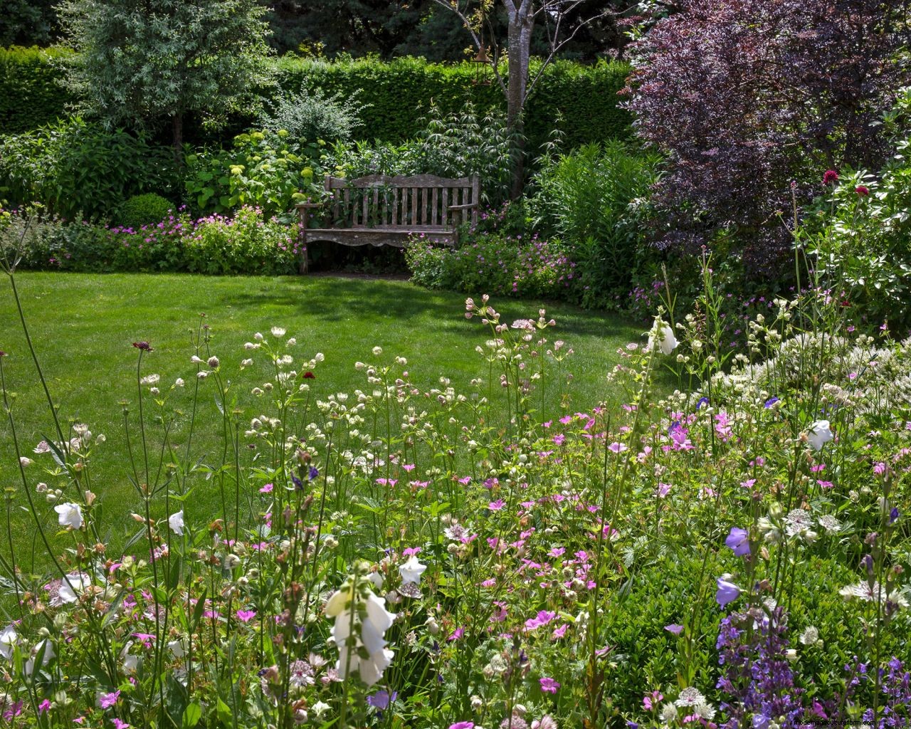 Not testing soil is a lawn care mistake – heres why you need to know your soil pH