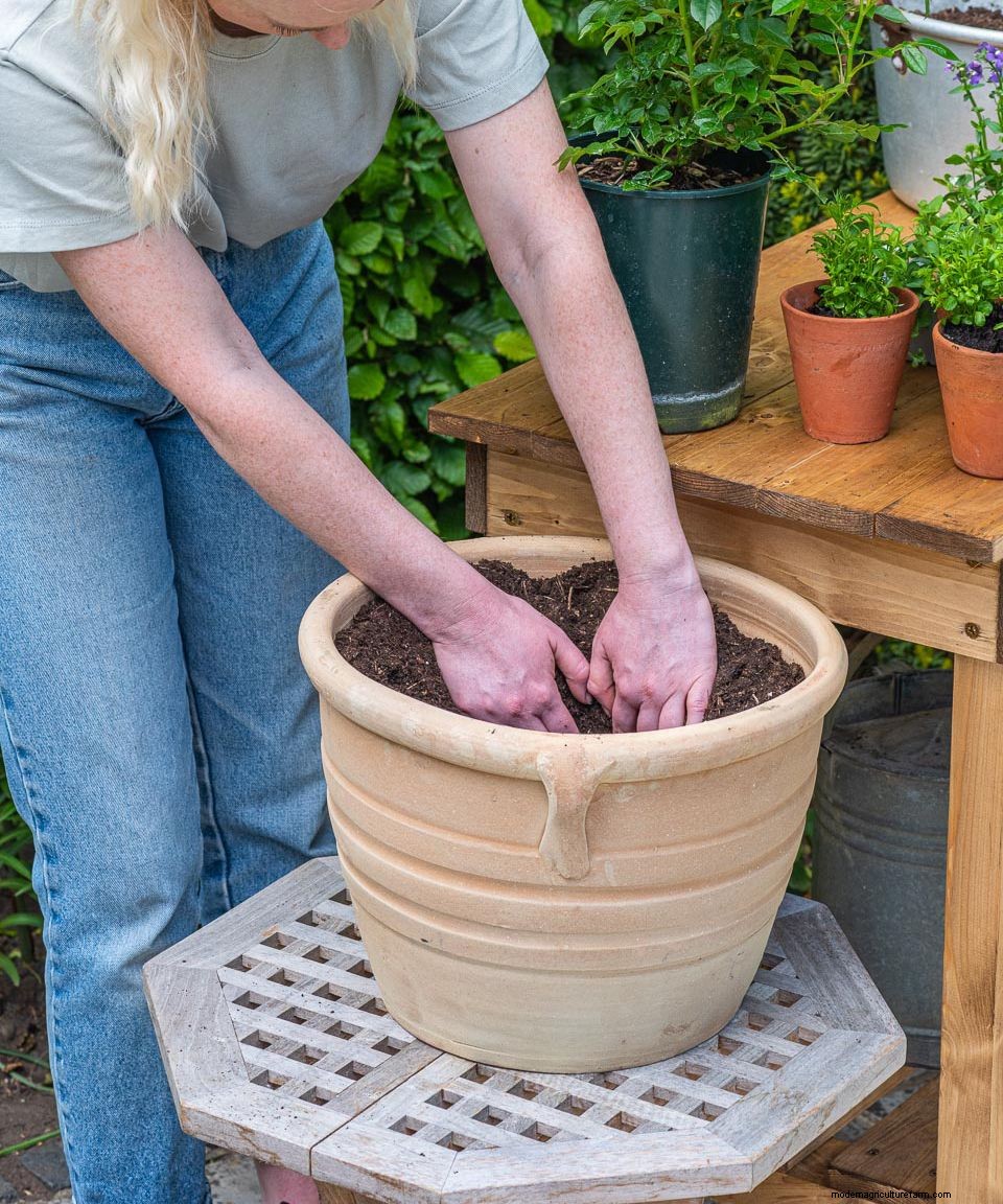 Pre-soaking your terracotta pots? Dont waste the water, say garden experts
