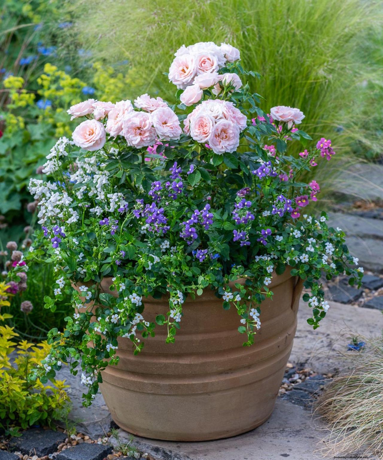 How to plant flowers in pots: step-by-step guide to stunning patio containers