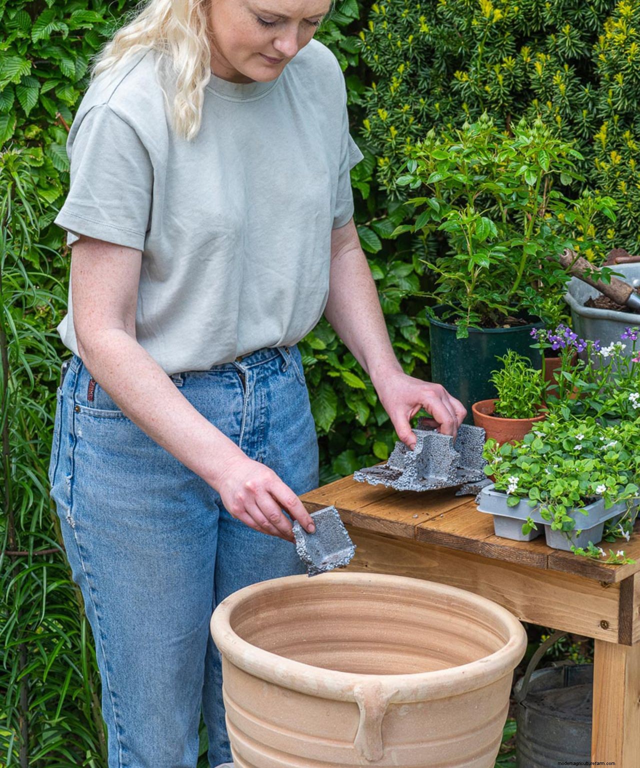 How to plant flowers in pots: step-by-step guide to stunning patio containers