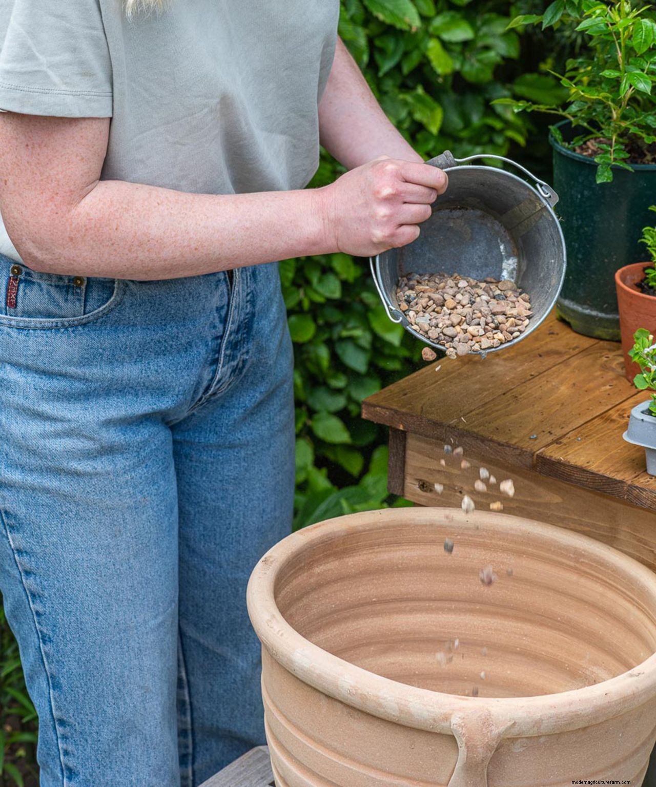 How to plant flowers in pots: step-by-step guide to stunning patio containers