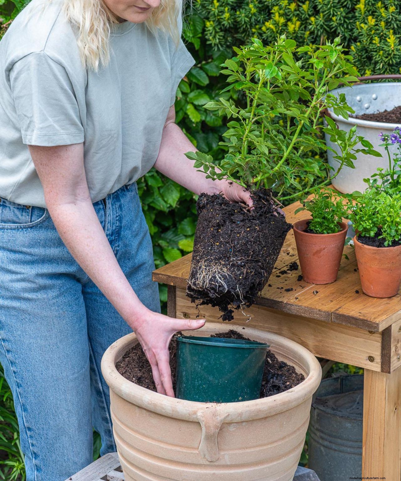 How to plant flowers in pots: step-by-step guide to stunning patio containers