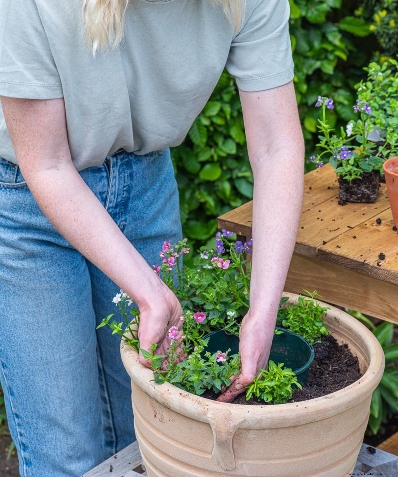 How to plant flowers in pots: step-by-step guide to stunning patio containers