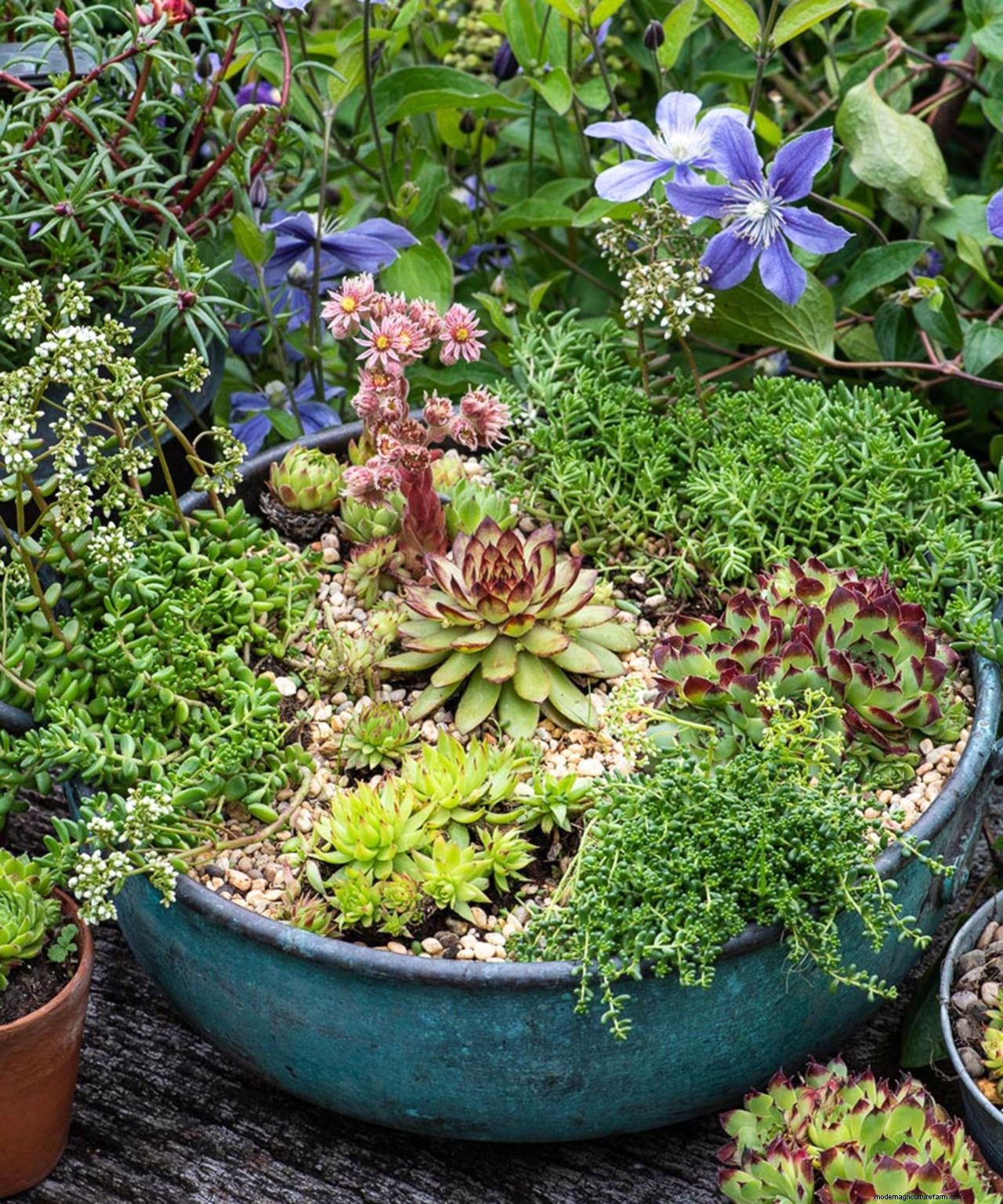 How to plant flowers in pots: step-by-step guide to stunning patio containers