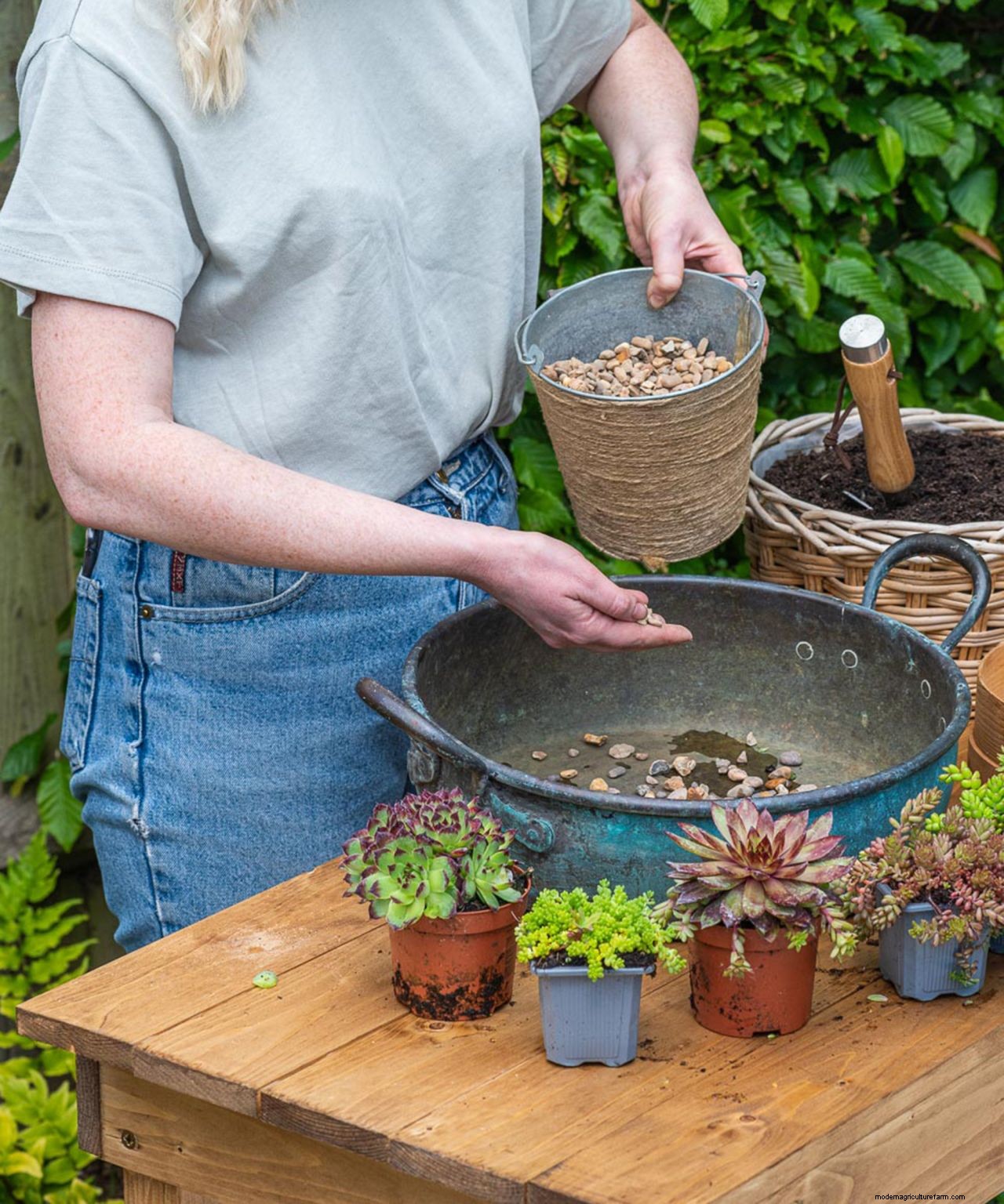 How to plant flowers in pots: step-by-step guide to stunning patio containers