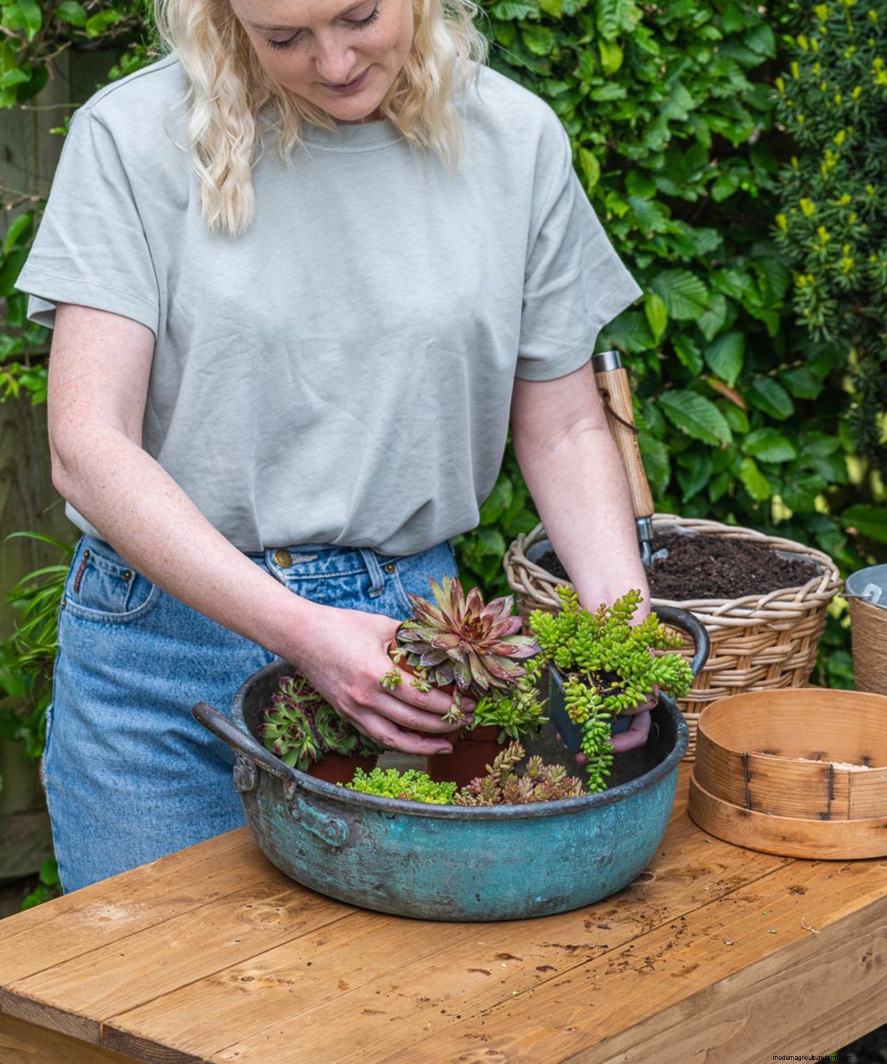 How to plant flowers in pots: step-by-step guide to stunning patio containers