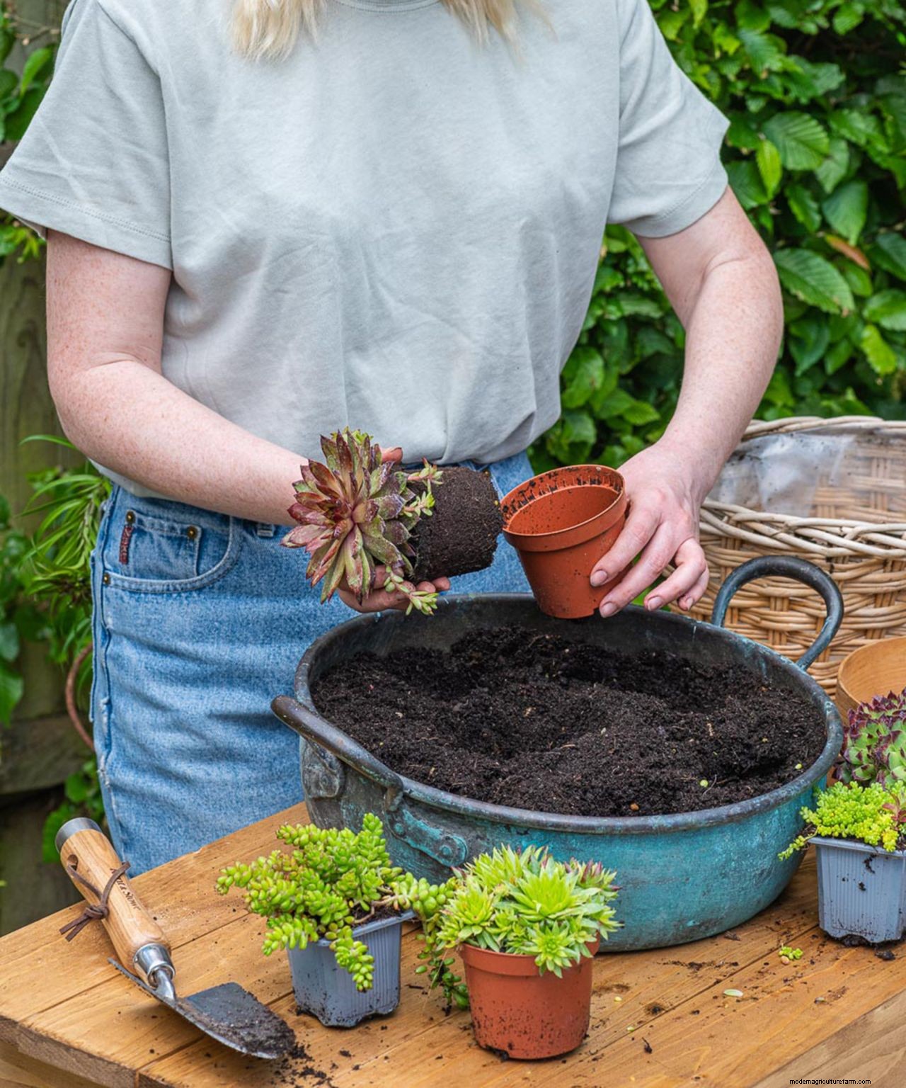 How to plant flowers in pots: step-by-step guide to stunning patio containers