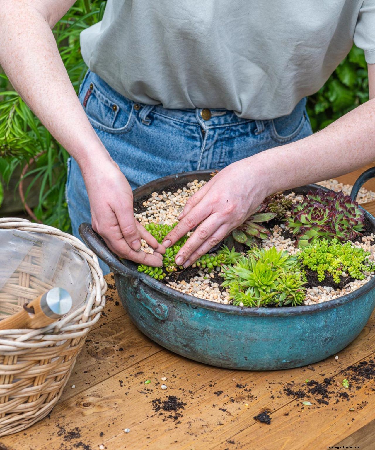 How to plant flowers in pots: step-by-step guide to stunning patio containers