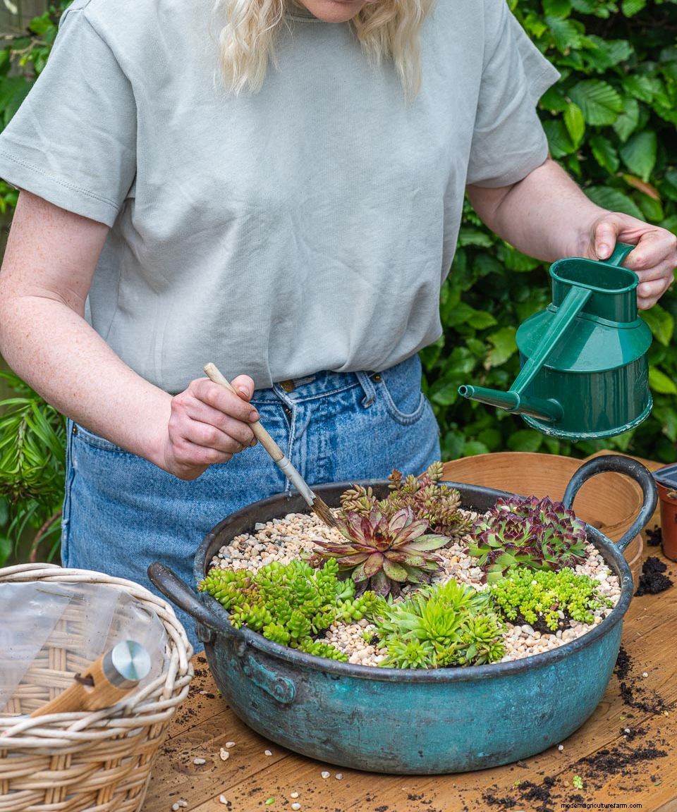 How to plant flowers in pots: step-by-step guide to stunning patio containers