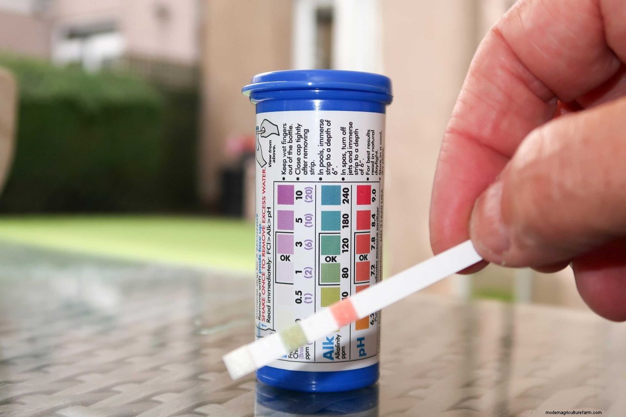 Hot tub maintenance: how to look after a hot tub in your backyard