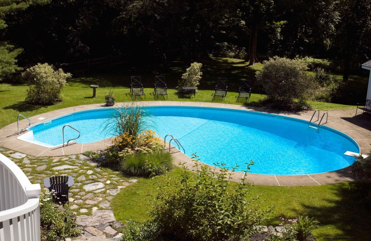 Pool maintenance: top tips on how to look after a backyard swimming pool