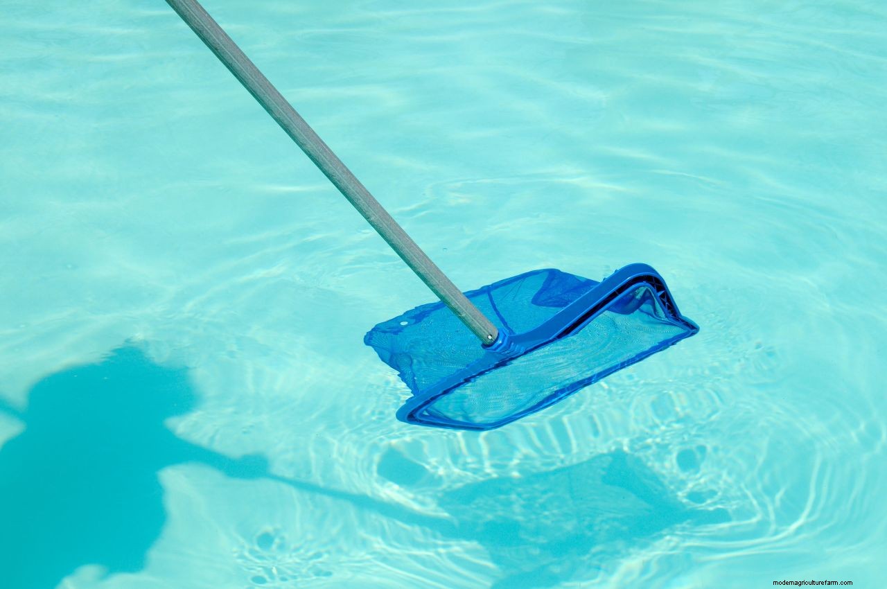 Pool maintenance: top tips on how to look after a backyard swimming pool