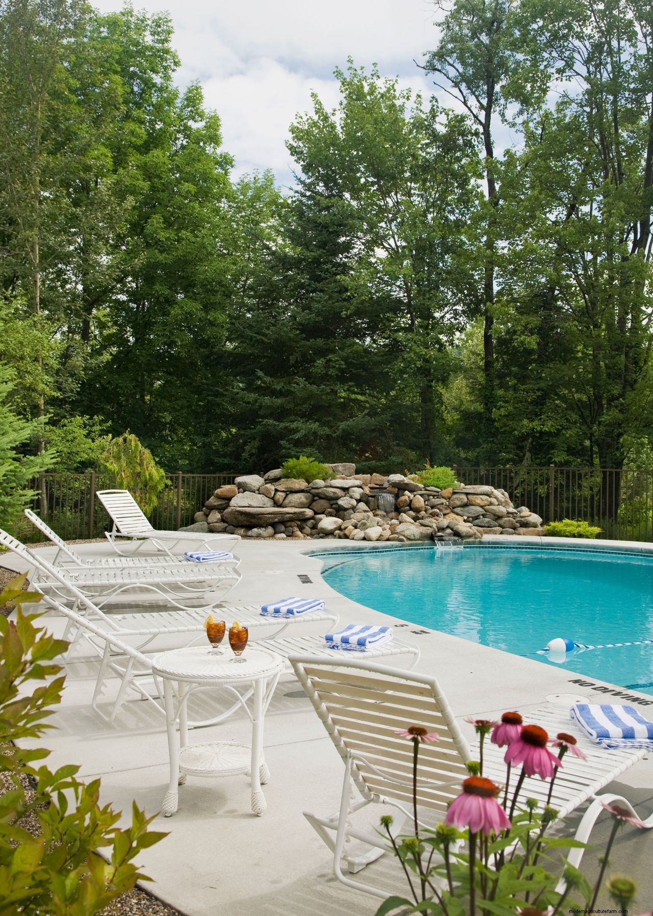 Pool maintenance: top tips on how to look after a backyard swimming pool