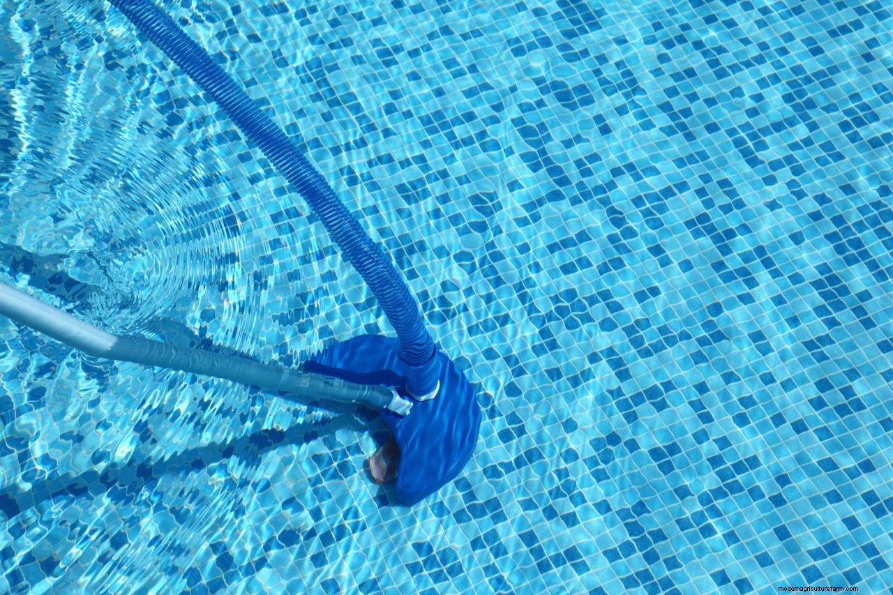 Pool maintenance: top tips on how to look after a backyard swimming pool