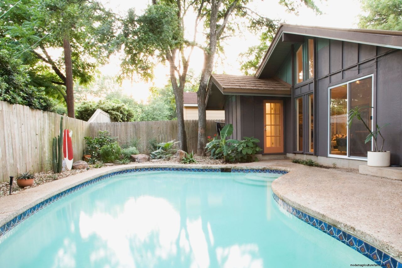 Pool maintenance: top tips on how to look after a backyard swimming pool