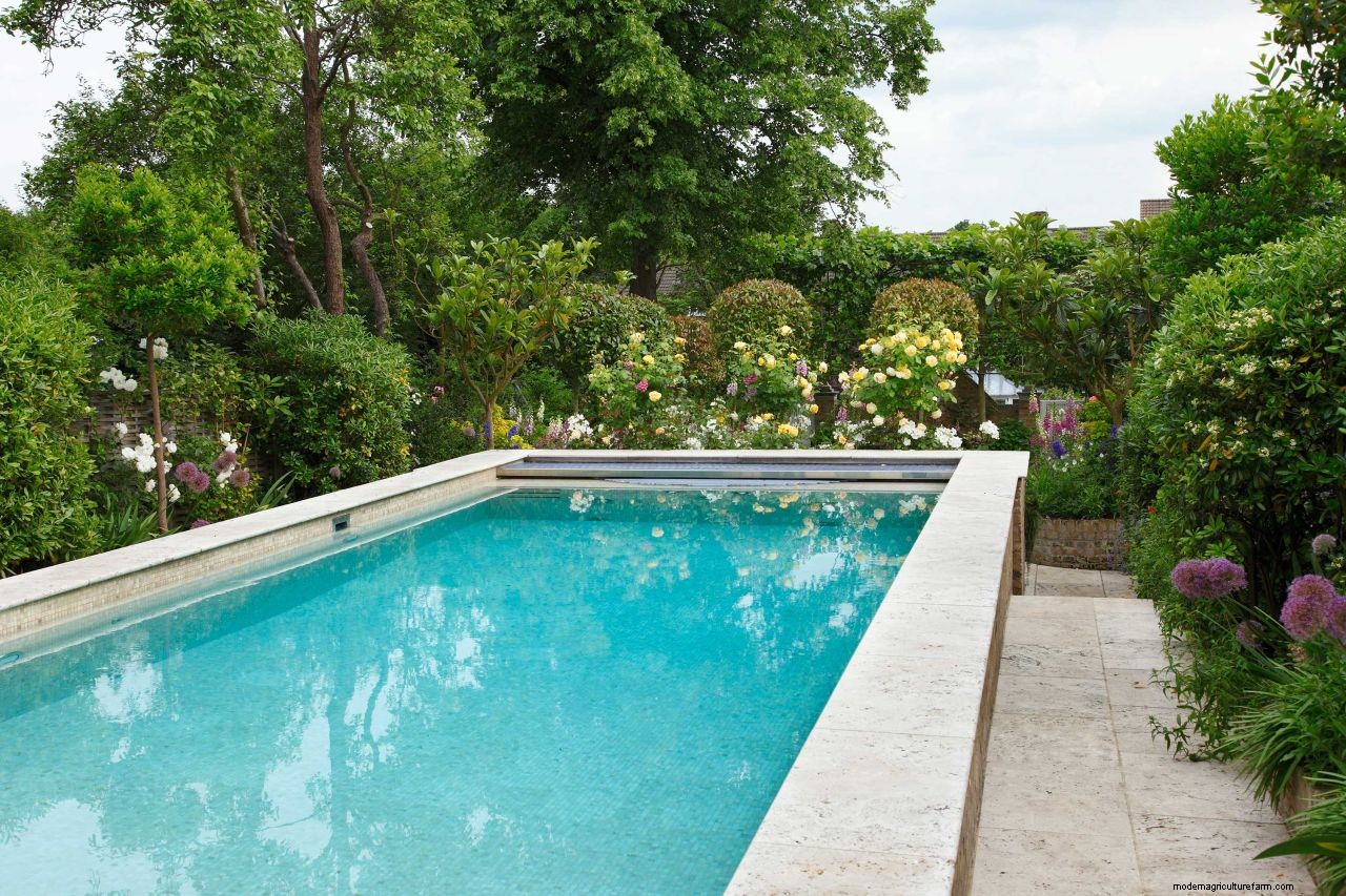 Pool maintenance: top tips on how to look after a backyard swimming pool